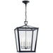 Darlana Medium Hanging Lantern - Lamps Expo