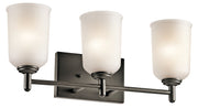 Shailene 3-Light Bath Vanity Light in Olde Bronze