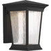 Arrive Led LED Wall Lantern in Black
