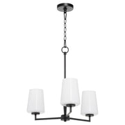 Goodwin 3 Light Chandelier in Matte Black