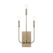 Zander 3-Light Wall Sconce in Aged Brass