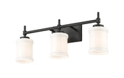 Cadoc 3 Light 23.5" Vanity in Matte Black