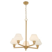 Cassini 5 Light Chandelier in Aged Brass