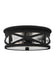 Outdoor Ceiling Two Light Outdoor Flush Mount in Black