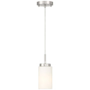 Iris Mini Pendant in Brushed Steel