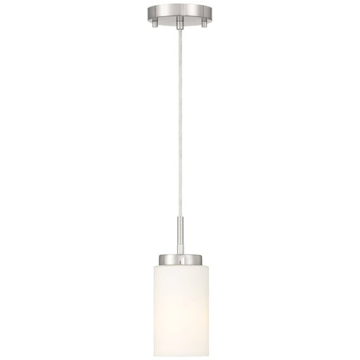 Iris Mini Pendant in Brushed Steel