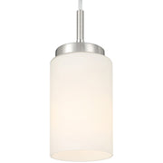 Iris Mini Pendant in Brushed Steel