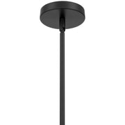 Swirl Pendant in Matte Black