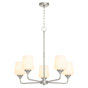 Raymond 5 Light Chandelier in Satin Nickel