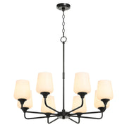 Raymond 8 Light Chandelier in Matte Black