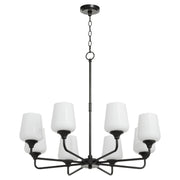 Raymond 8 Light Chandelier in Matte Black