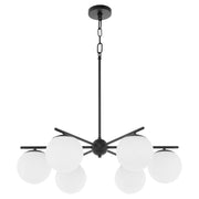 Jasper 6 Light Chandelier in Matte Black