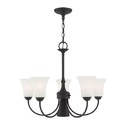 Ridgedale 5-Light Chandelier with Downlight in Black