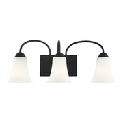 Ridgedale 3-Light 23.5" Bath Vanity Light in Black