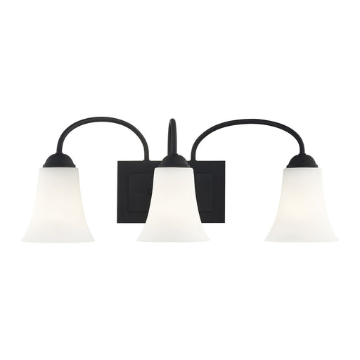 Ridgedale 3-Light 23.5" Bath Vanity Light in Black