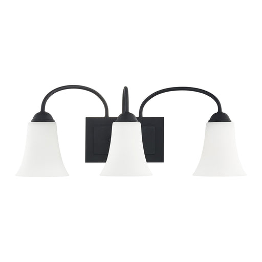 Ridgedale 3-Light 23.5" Bath Vanity Light in Black