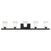 Ridgedale 5-Light Bath Vanity Light in Black