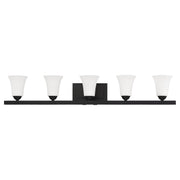 Ridgedale 5-Light Bath Vanity Light in Black