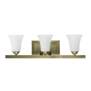 Ridgedale 3-Light 25.25" Bath Vanity Light in Antique Brass