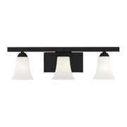 Ridgedale 3-Light 25.25" Bath Vanity Light in Black