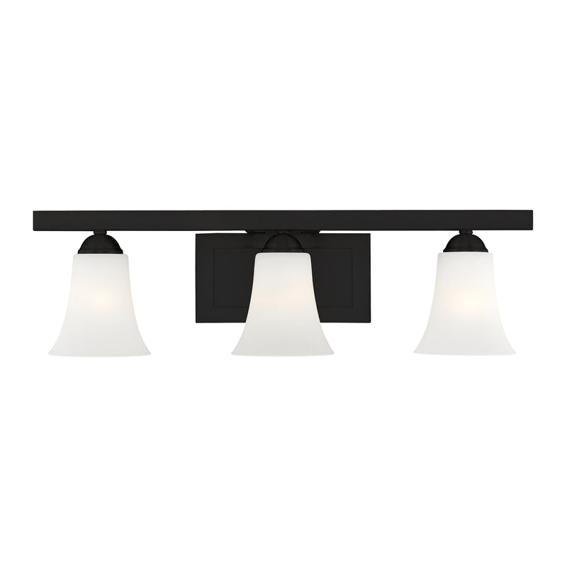 Ridgedale 3-Light 25.25" Bath Vanity Light in Black