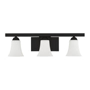 Ridgedale 3-Light 25.25" Bath Vanity Light in Black