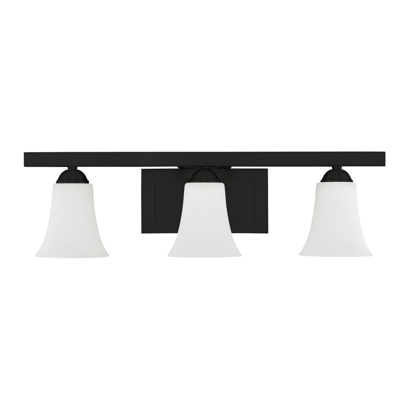 Ridgedale 3-Light 25.25" Bath Vanity Light in Black