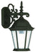 Hamilton 1 Light Outdoor Wall Lantern in Textured Black