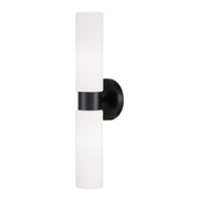 Theo 2-Light Wall Sconce in Matte Black