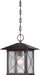 Vega 1-Light Outdoor Hanging in Classic Bronze