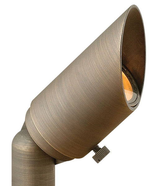 Hardy Island Small LED Spot Light in Matte Bronze
