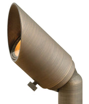 Hardy Island Small Accent Spot Light in Matte Bronze