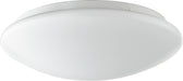 Transitional Ceiling Mount in White