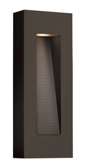 Luna Medium Outdoor Wall Sconce with Square Backplate in Bronze