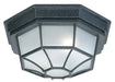 2 Light Outdoor Flush and Semi-Flush in Black