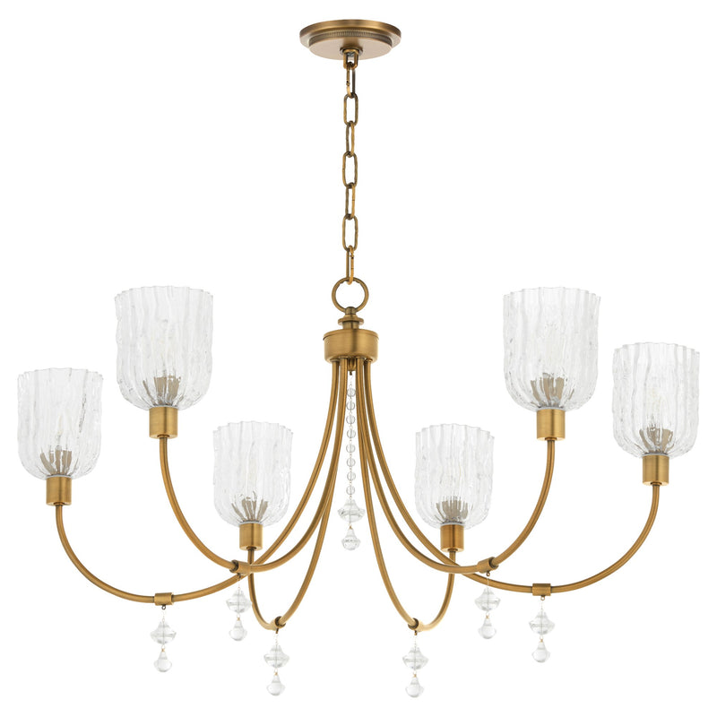 Meriam 6 Light Chandelier in Brushed Brass