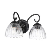 Audra 2-Light Bath Vanity Light in Matte Black