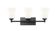 Oren 3 Light 24" Vanity in Matte Black
