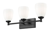 Oren 3 Light 24" Vanity in Matte Black