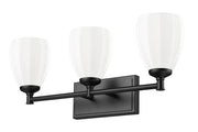 Oren 3 Light 24" Vanity in Matte Black