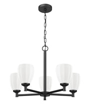 Oren 5 Light 25" Chandelier in Matte Black