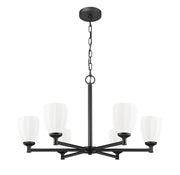 Oren 6 Light 32" Chandelier in Matte Black