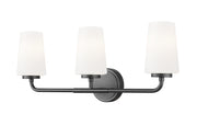 Montford 3 Light 24" Vanity in Matte Black
