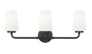 Montford 3 Light 24" Vanity in Matte Black