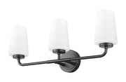 Montford 3 Light 24" Vanity in Matte Black