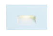 Path LED Step Light in White