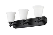 Lagoon 3 Light 24" Vanity in Matte Black