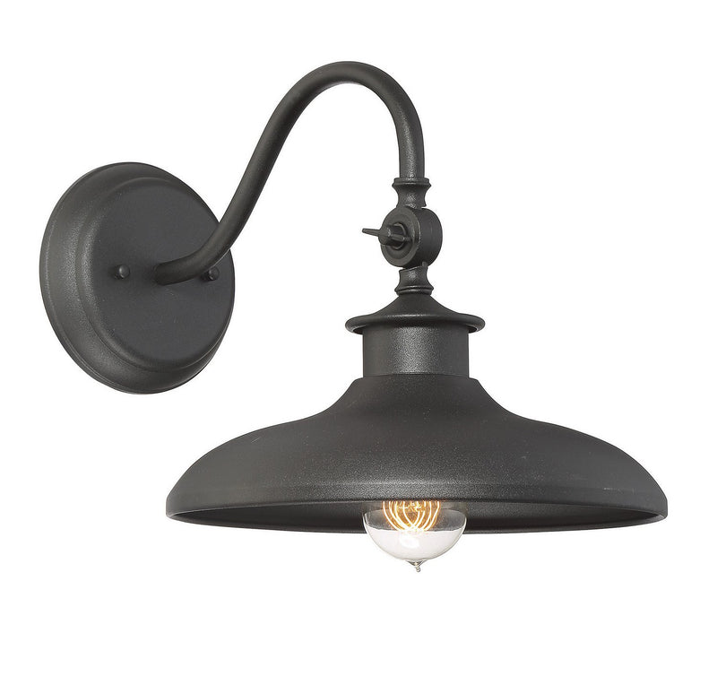Raleigh Outdoor Wall Sconce in Black