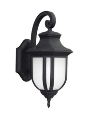 Childress Medium Outdoor Wall Lantern in Black