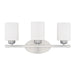 Dixon 3-Light Vanity in Brushed Nickel - Lamps Expo